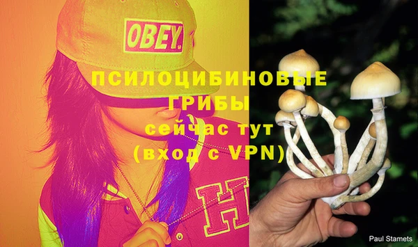 марихуана Беломорск