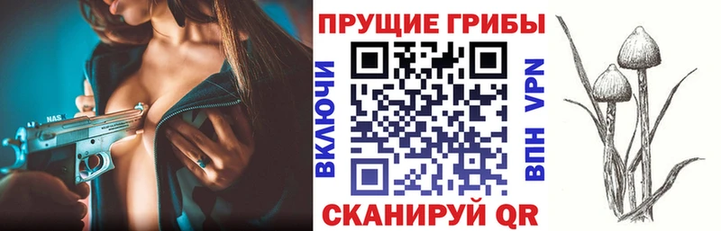 Галлюциногенные грибы Magic Shrooms  Калининец 